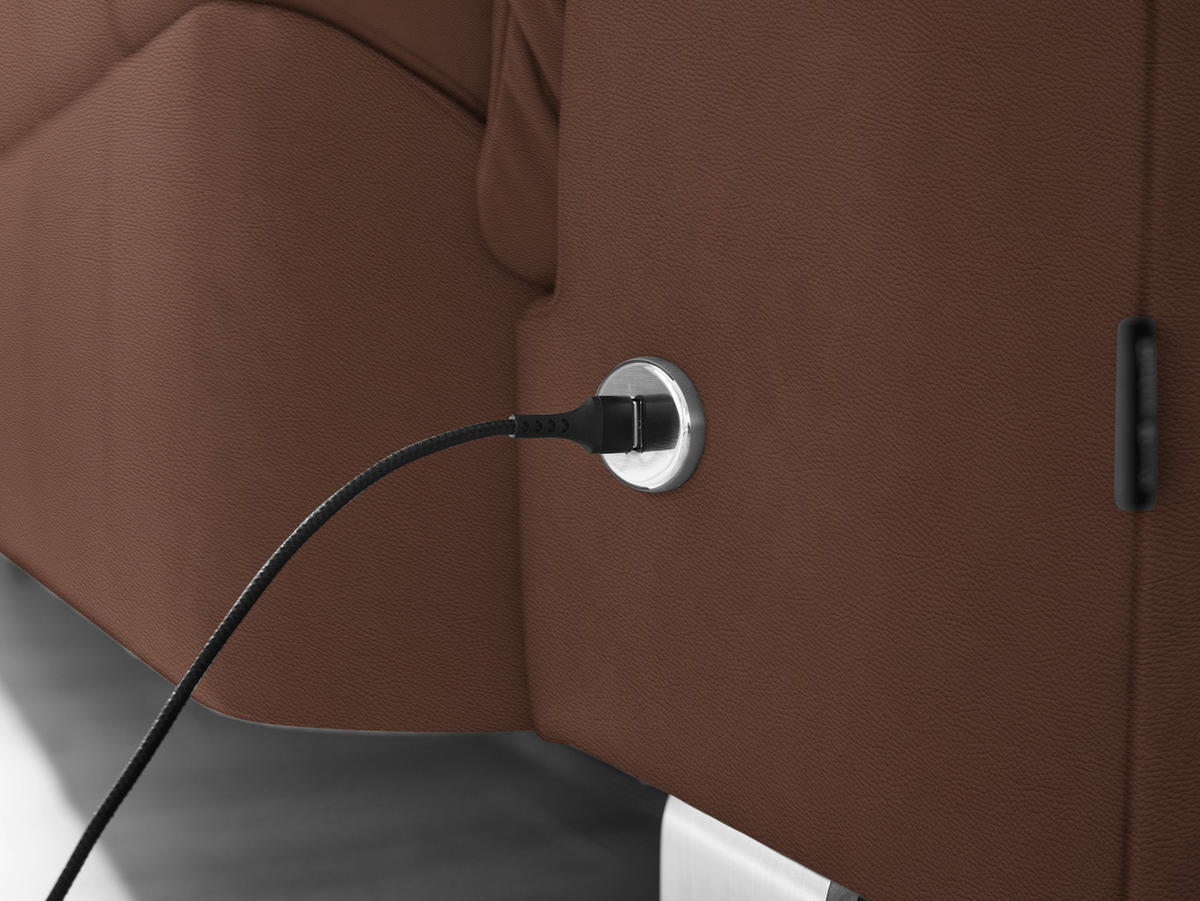 ECKSOFA in Echtleder Braun  309/233 cm  - Edelstahlfarben/Braun, Design, Leder/Metall (309/233cm) - Dieter Knoll
