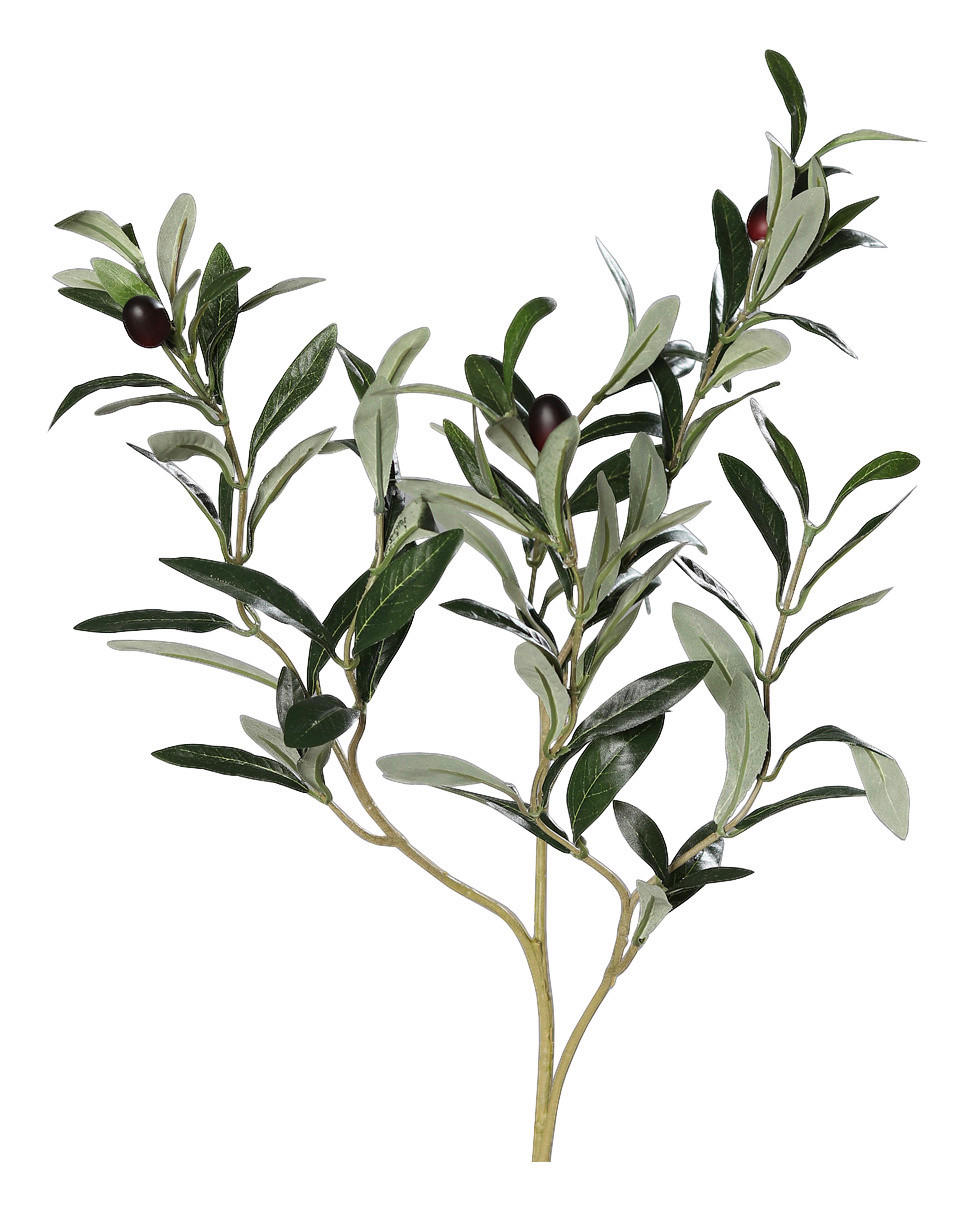 DEKOZWEIG - Grün, Basics, Kunststoff (74cm)