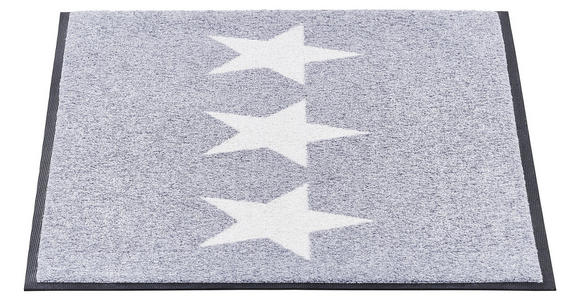 FUßMATTE  40/60 cm  Grau, Weiß  - Weiß/Grau, Trend, Kunststoff/Textil (40/60cm) - Esposa
