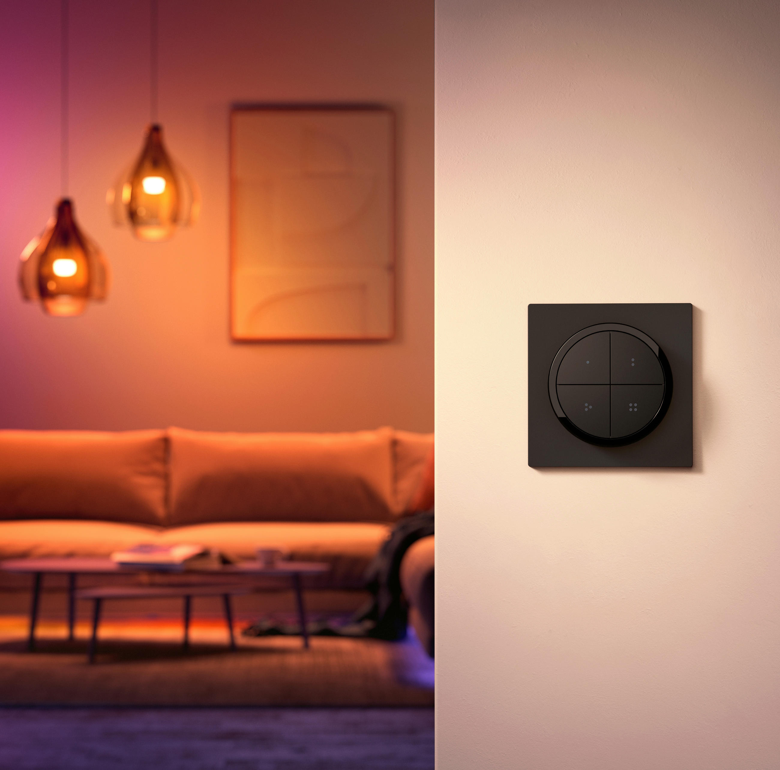 STEUERELEMENT - Schwarz, Basics, Kunststoff (6/6/2cm) - Philips HUE