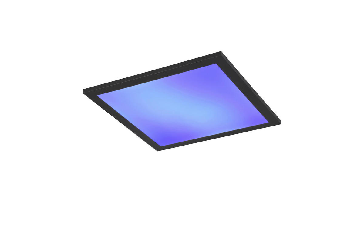 LED-DECKENLEUCHTE     - Schwarz, Konventionell, Metall (29,5cm)