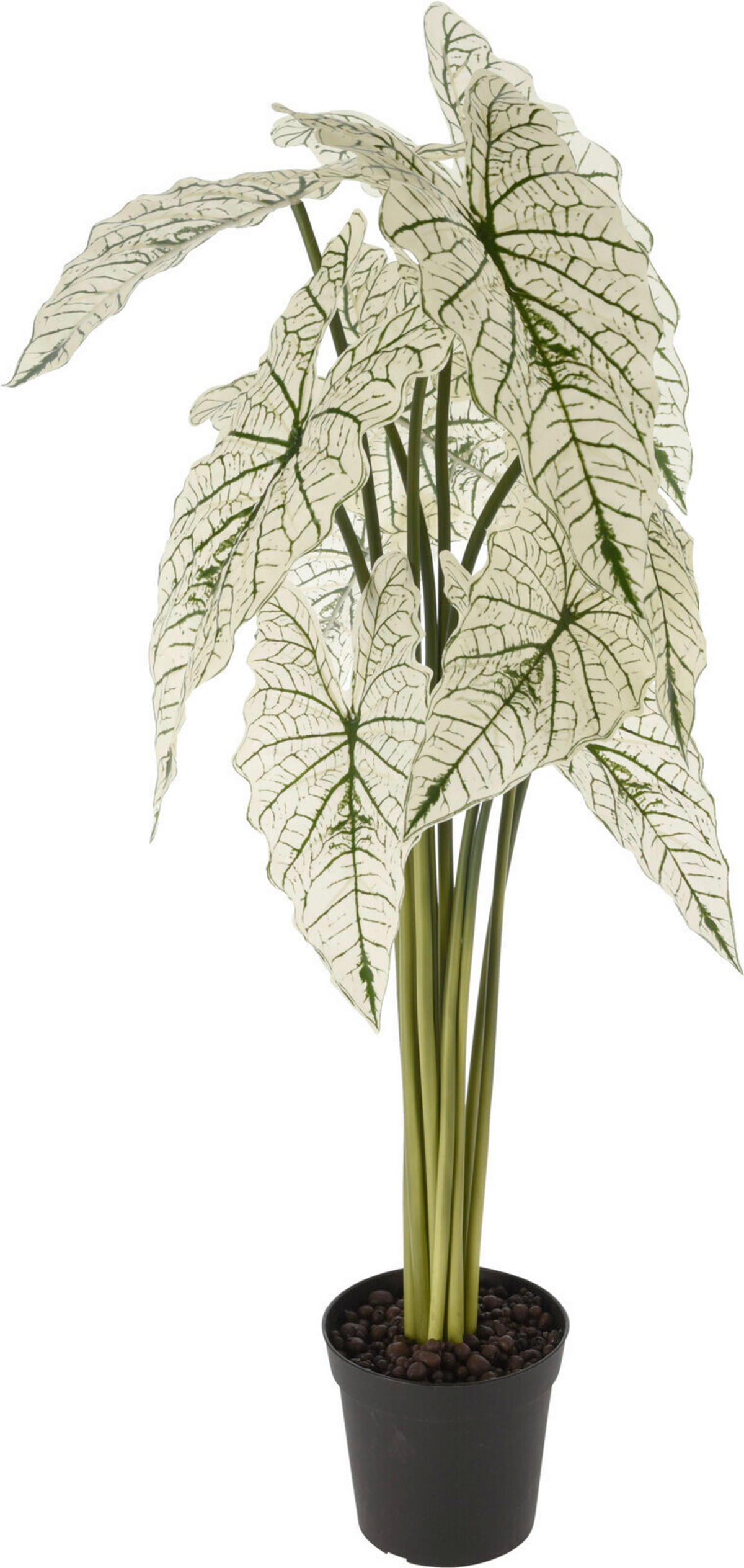 PLANTĂ ARTIFICIALĂ - Basics, plastic (38/31/88cm)