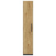 AKTENSCHRANK Anthrazit, Hickory  - Anthrazit/Hickory, KONVENTIONELL, Holzwerkstoff (40/220,5/41,9cm) - Moderano