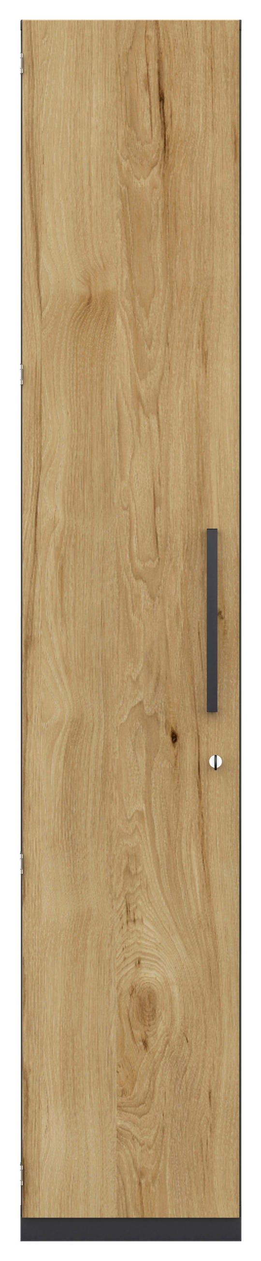 AKTENSCHRANK Anthrazit, Hickory  - Anthrazit/Hickory, KONVENTIONELL, Holzwerkstoff (40/220,5/41,9cm) - Moderano
