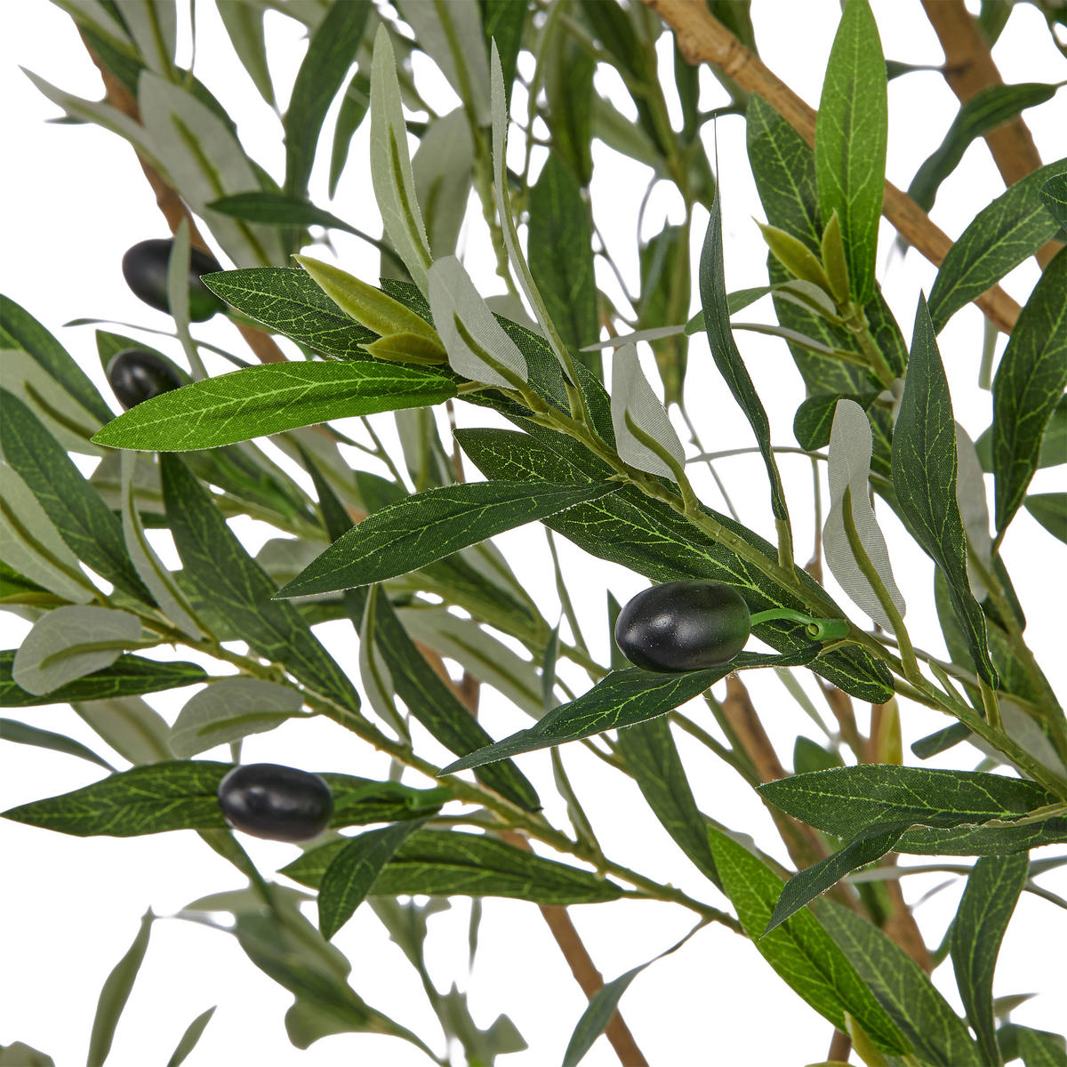 KUNSTPFLANZE Olive 250 cm  - Schwarz/Braun, Basics, Kunststoff (250cm)