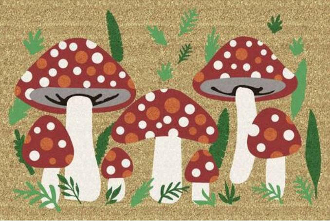 KOKOSOVÁ ROHOŽKA, 40/60 cm - béžová, Basics, plast/přírodní materiály (40/60cm)