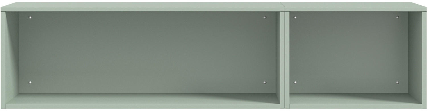 WANDREGAL Salbeigrün  - Salbeigrün, Design, Holzwerkstoff (150/35,2/40cm) - Cantus