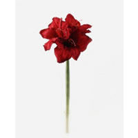 MŰNÖVÉNY - piros/zöld, Basics, műanyag