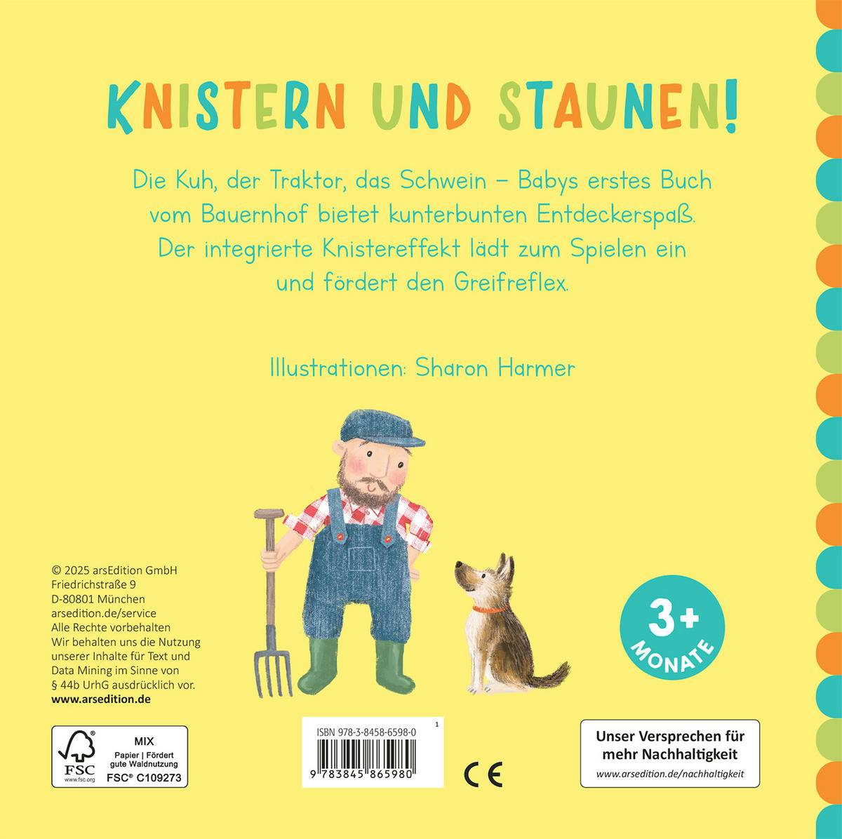 BILDERBUCH  - Multicolor, Basics, Papier (16,6/16,6/1,6cm) - Carlsen