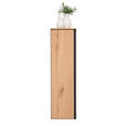 MIDISCHRANK 35/125/37 cm  - Eichefarben/Schwarz, MODERN, Glas/Holz (35/125/37cm) - Dieter Knoll