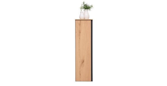 MIDISCHRANK 35/125/37 cm  - Eichefarben/Schwarz, MODERN, Glas/Holz (35/125/37cm) - Dieter Knoll