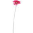 KUNSTBLUME - Pink, Basics, Kunststoff/Textil (56cm) KUNSTBLUME - Pink, Basics, Kunststoff/Textil (56cm)