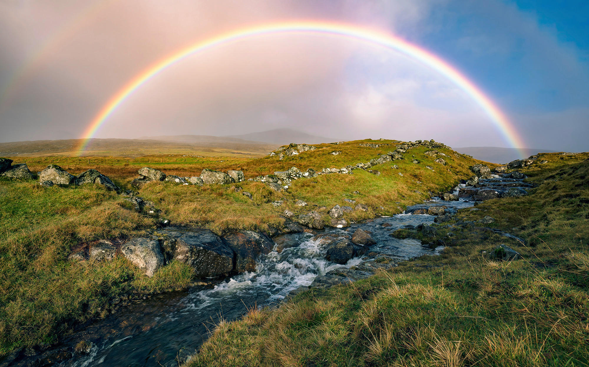 FOTOTAPETE - Multicolor, Trend, Textil (450/280cm)