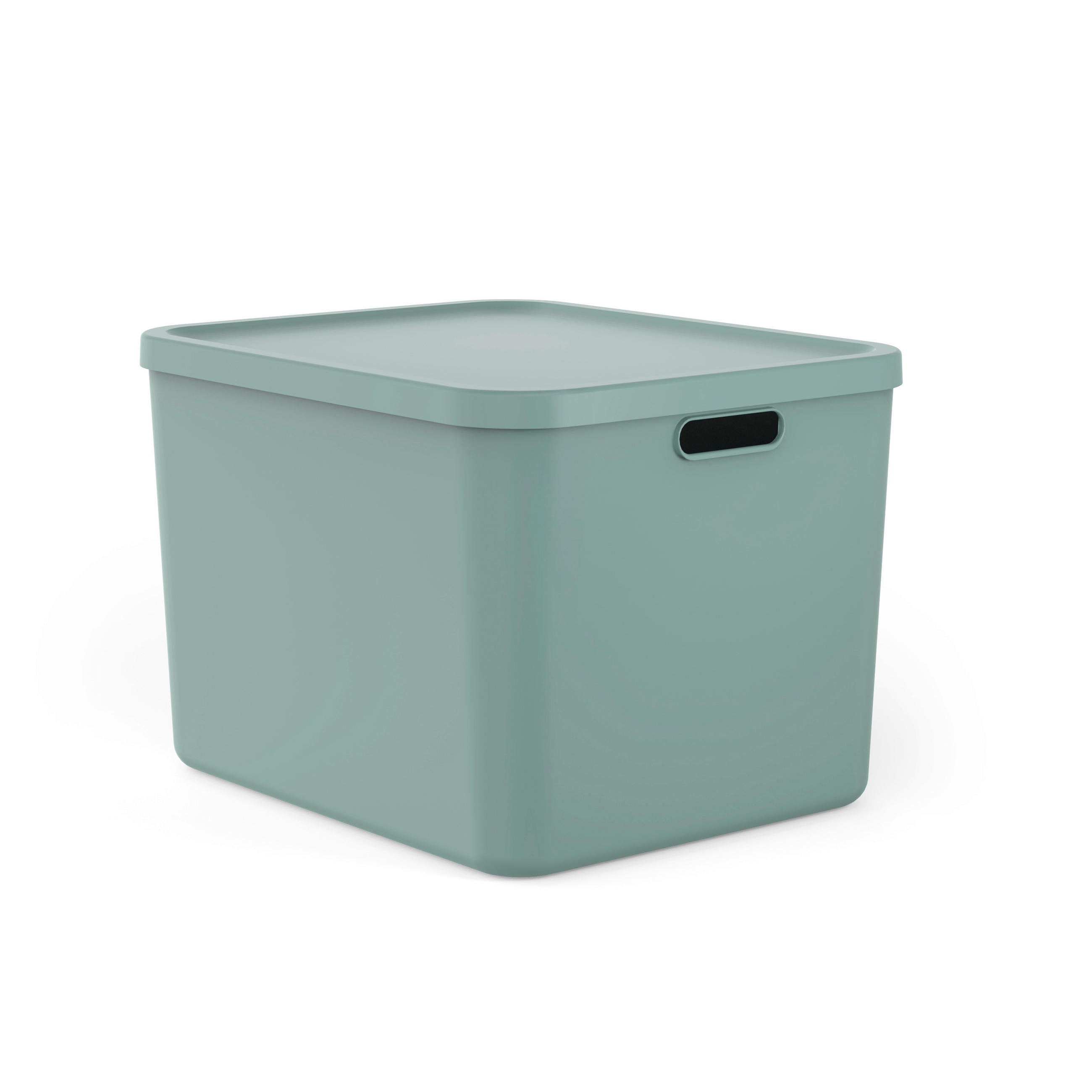 AUFBEWAHRUNGSBOX    48,9/40,5/34 cm  - Mintgrün, Basics, Kunststoff (48,9/40,5/34cm) - Rotho