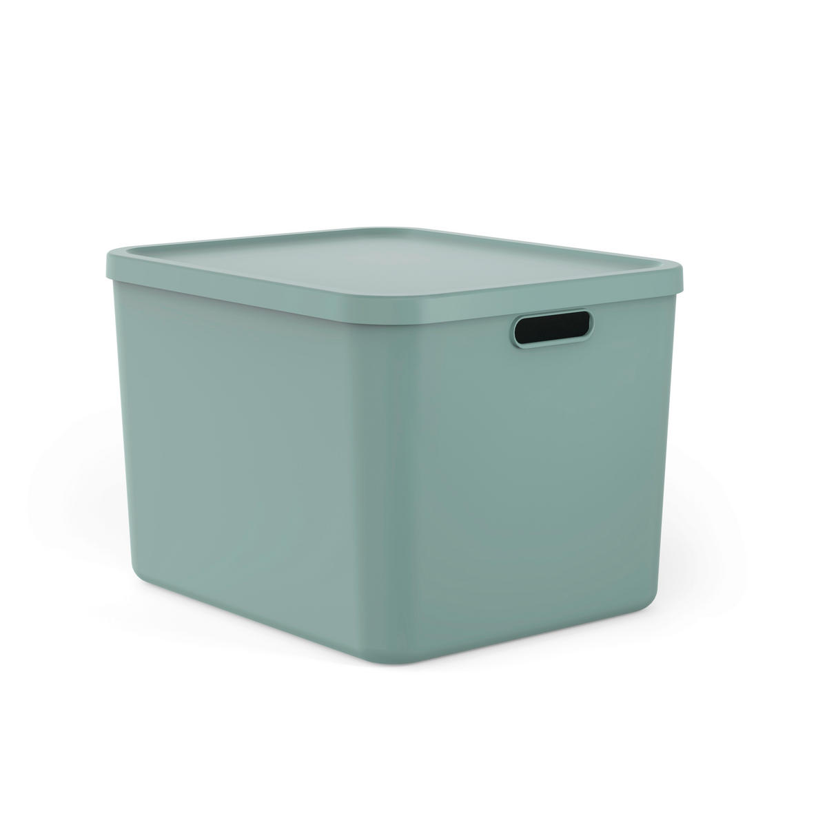 AUFBEWAHRUNGSBOX - Mintgrün, Basics, Kunststoff (48,9/40,5/34cm) - Rotho