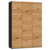 DREHTÜRENSCHRANK  in Schwarz, Wildeiche  - Wildeiche/Silberfarben, Design, Holz/Holzwerkstoff (152/220/40cm) - Jutzler