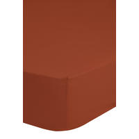 SPANNLEINTUCH 160/200 cm Renforcé  - Terracotta, Basics, Textil (160/200cm) - MID.YOU