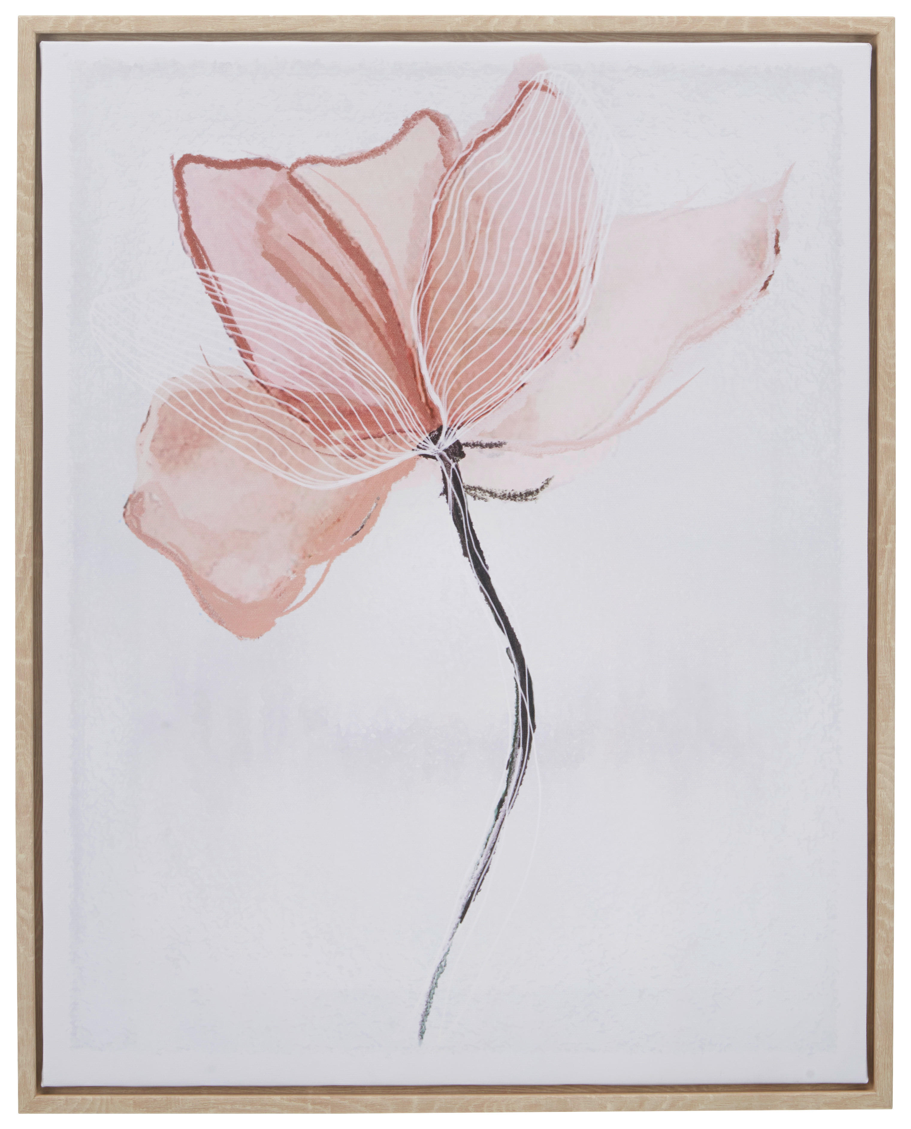 Monee TIŠTĚNÉ OBRAZY NA PLÁTNĚ, květiny, 40/50 cm - oranžová