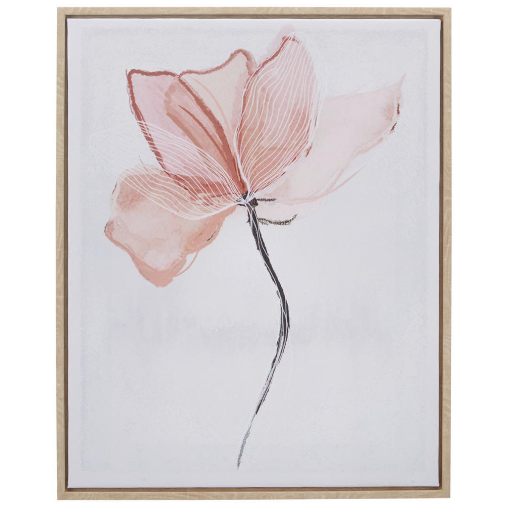 Monee TIŠTĚNÉ OBRAZY NA PLÁTNĚ, květiny, 40/50 cm - oranžová