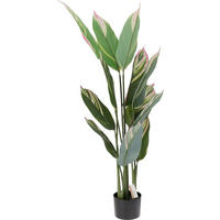 Plantă Artificială - Basics, plastic (70/70/118cm)