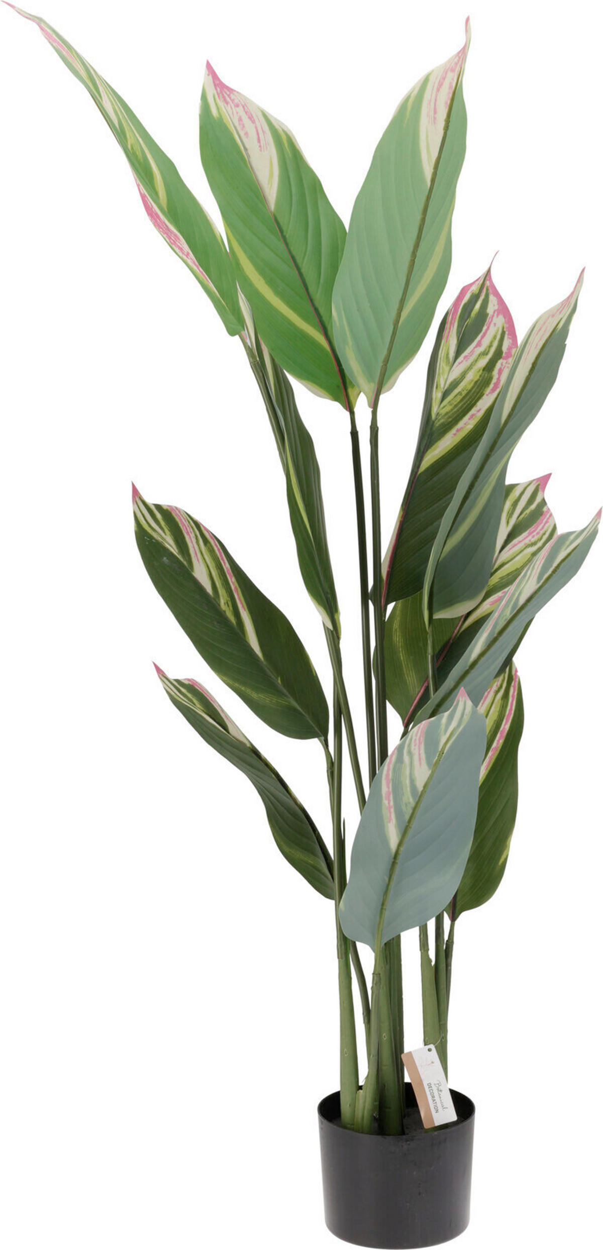 Plantă Artificială - Basics, plastic (70/70/118cm)