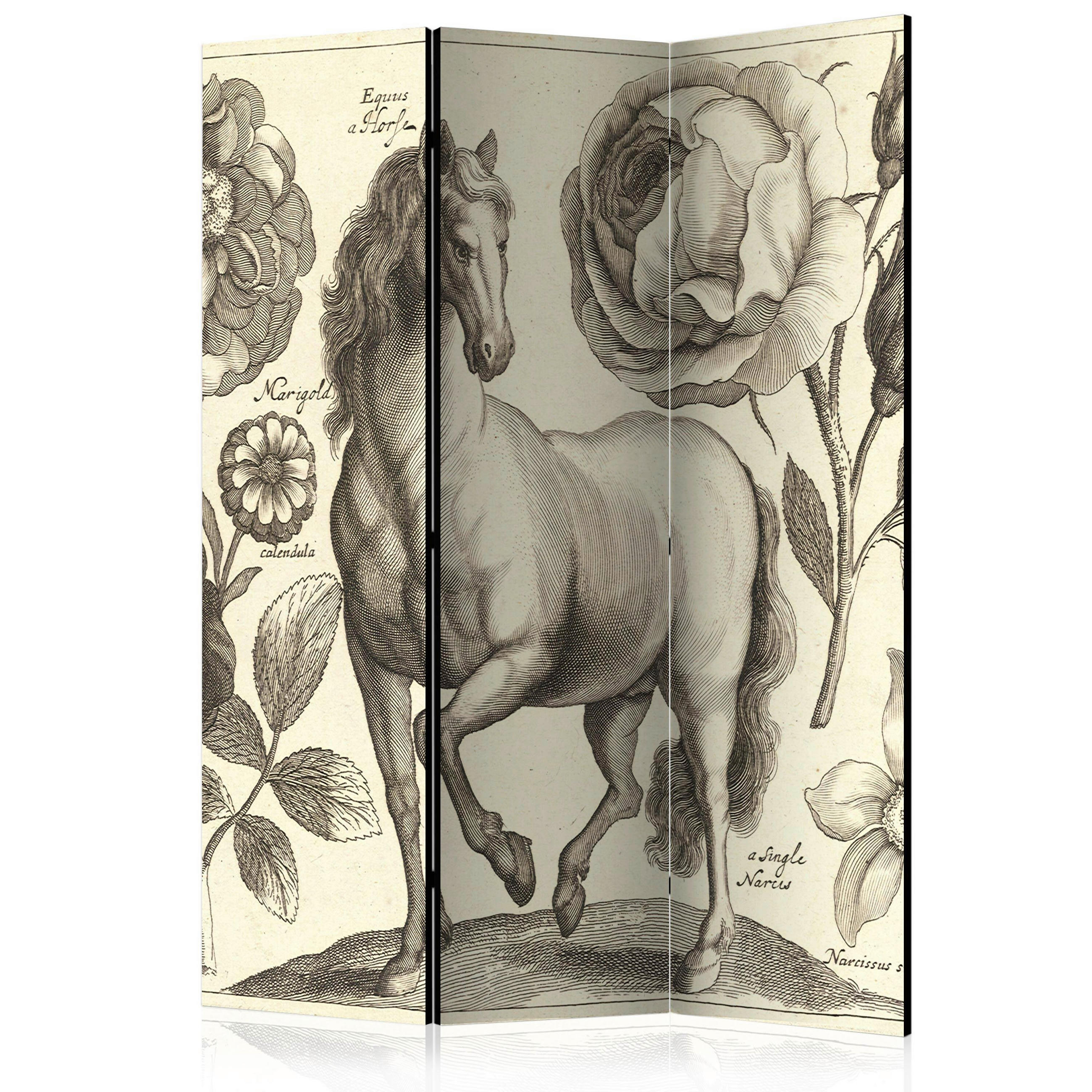 artgeist PARAVÁN, 135/172/3 cm