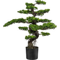 KUNSTPFLANZE Bonsai 90 cm  - Schwarz/Braun, Design, Kunststoff (90cm) - P & B