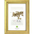 RAHMEN in Goldfarben - Goldfarben, Basics, Holz (17,6cm) RAHMEN in Goldfarben - Goldfarben, Basics, Holz (17,6cm)