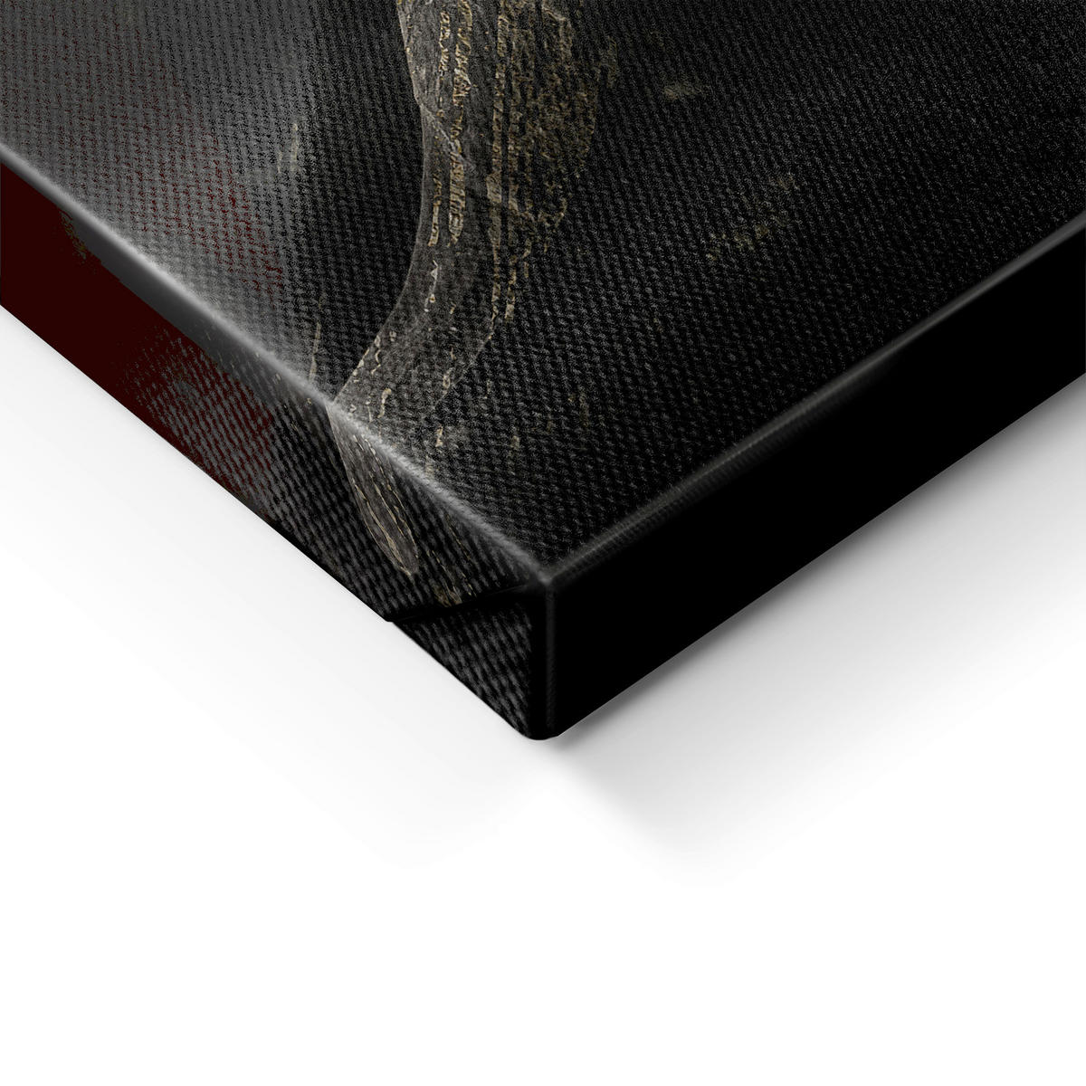 LEINWANDBILD Tiere 85/113 cm  - Multicolor/Schwarz, Basics, Holz/Textil (85/113cm)