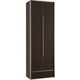 GARDEROBENSCHRANK 63/189/38 cm  - Anthrazit/Alufarben, Design, Glas/Holzwerkstoff (63/189/38cm) - Dieter Knoll