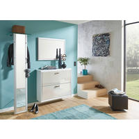 SCHUHSCHRANK Weiß, Alufarben  - Alufarben/Weiß, Design, Glas/Holzwerkstoff (109/89/35cm) - Dieter Knoll