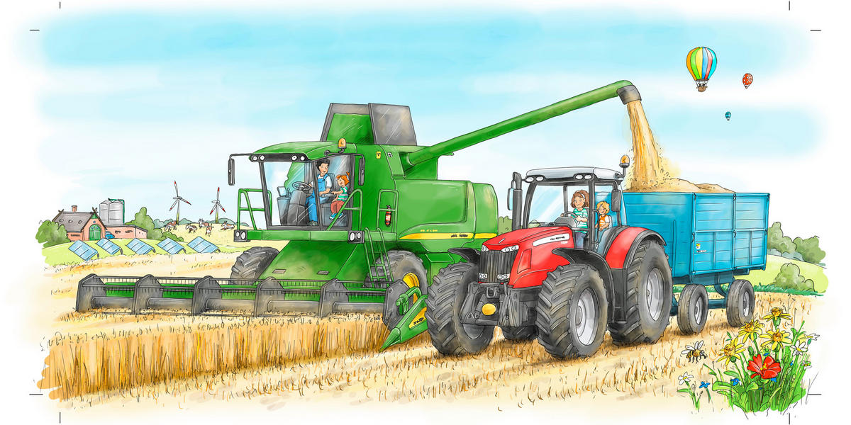 BUCH - Basics (18/18/1,8cm) - Carlsen