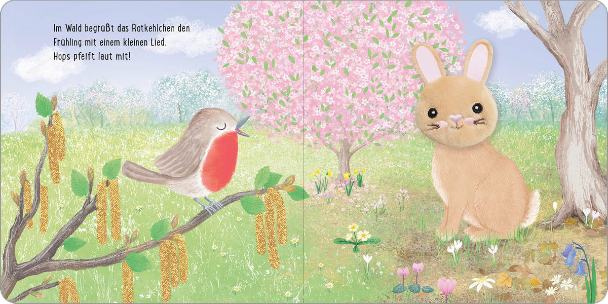 BUCH  - Multicolor, Basics, Papier (16,5/16,5/1cm)