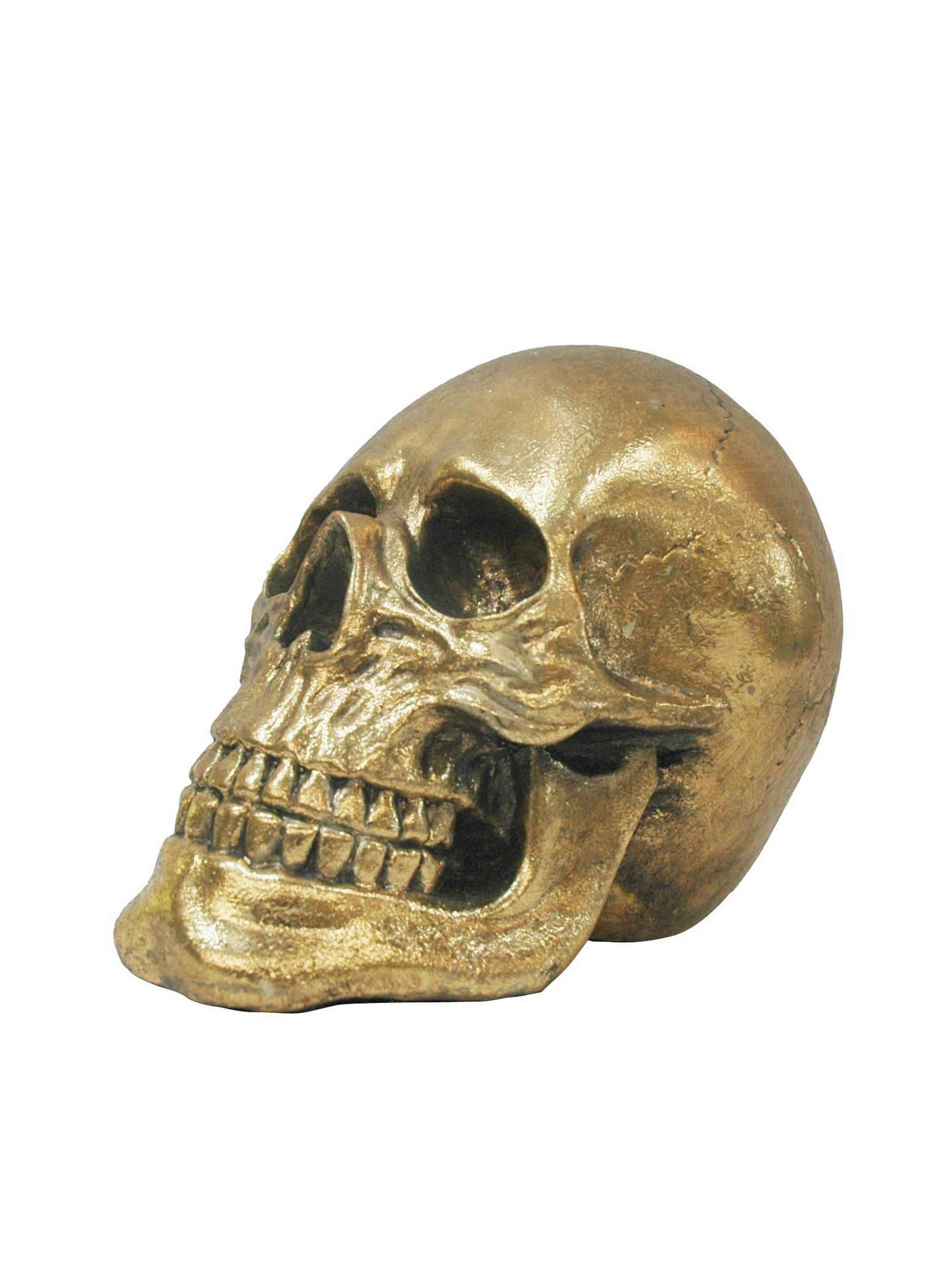 DEKOSCHÄDEL  - Goldfarben, Basics, Kunststoff (20/13/15cm) - Ambia Home