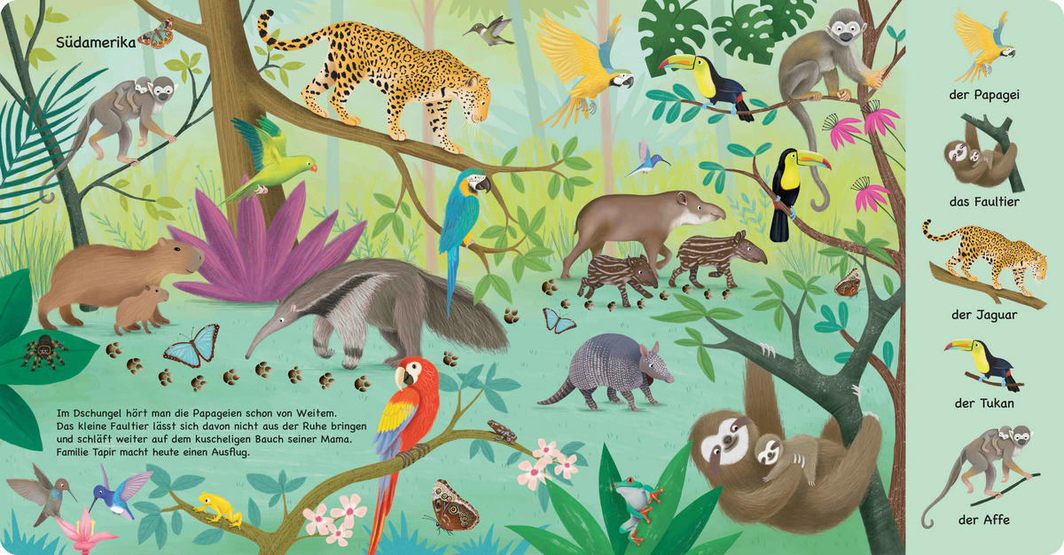 WIMMELBUCH Tiere im Wald  - Multicolor, Basics, Papier (23,5/24,5/1,6cm)