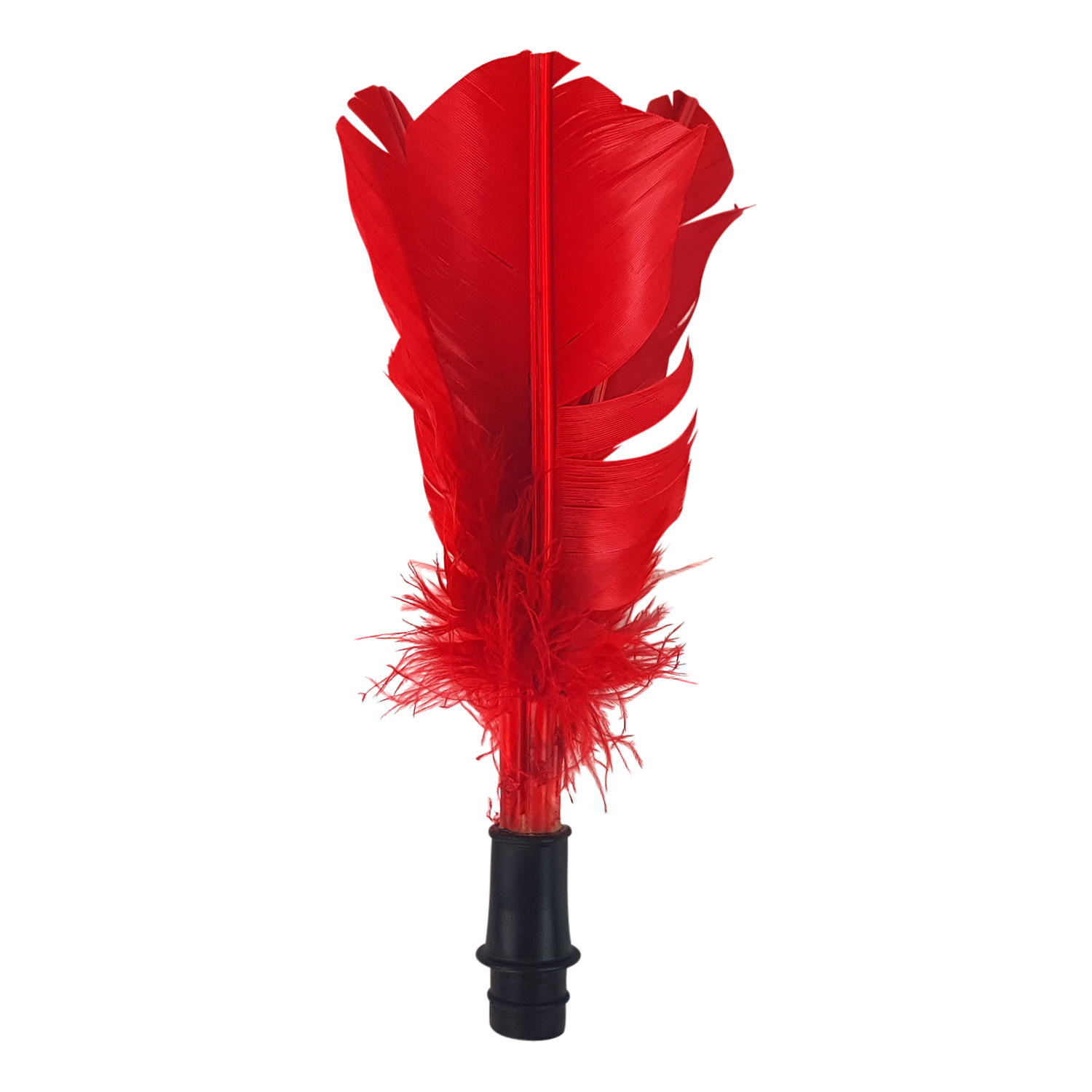 FEDERBALLSET  - Rot, KONVENTIONELL, Kunststoff (9/9/20cm)