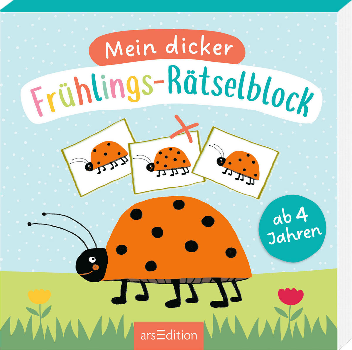 BUCH  - Multicolor, Basics, Papier (17/17/1cm)