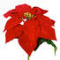 KUNSTBLUME Weihnachtsstern - Rot/Grün, Kunststoff (35cm) KUNSTBLUME Weihnachtsstern - Rot/Grün, Kunststoff (35cm)
