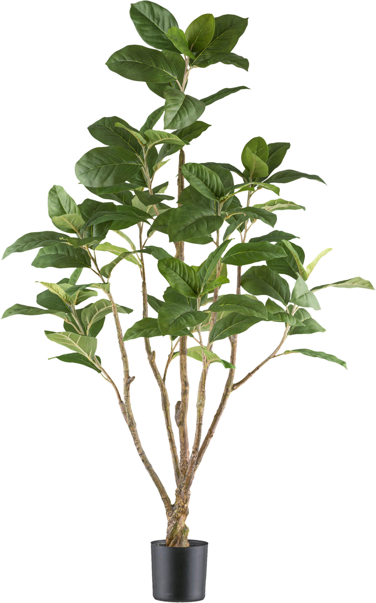 KUNSTPFLANZE chinesische Feige 115 cm  - Schwarz/Braun, Design, Kunststoff (115cm) - P & B