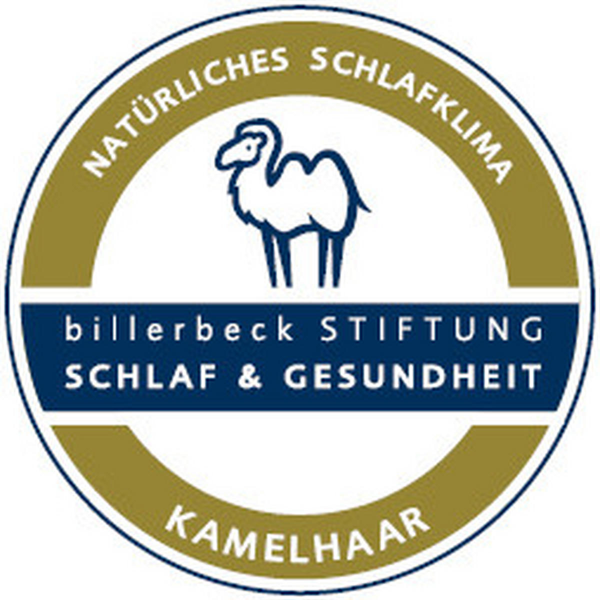 GANZJAHRESDECKE  Brilliant Uno  155/220 cm   - Weiß, Basics, Textil (155/220cm) - Billerbeck