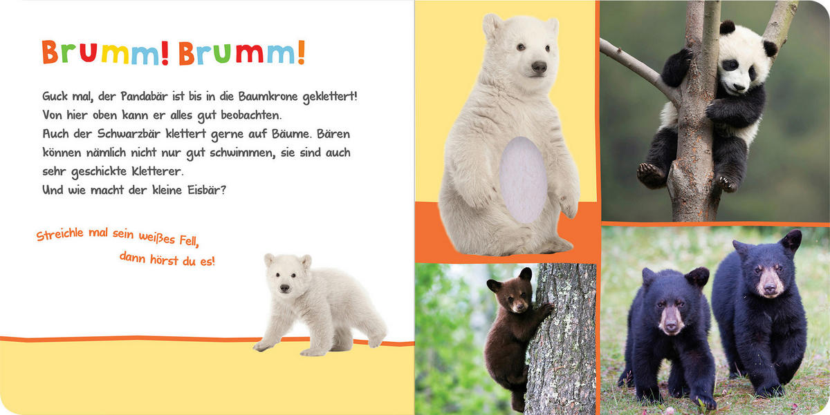 BUCH - Multicolor, Basics (20/20/2cm)