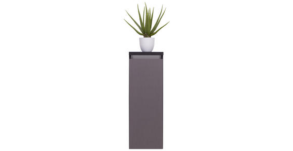 MIDISCHRANK 30/85,8/33 cm - Grau, MODERN, Glas/Holzwerkstoff (30/85,8/33cm) - Dieter Knoll