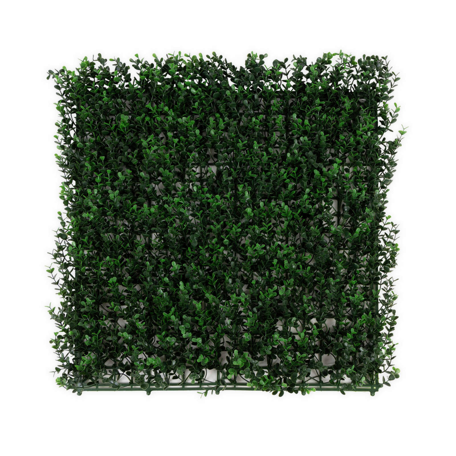 Wandverkleidung Pflanzenwand  Kunststoff  - Waldgrün, Trend, Kunststoff (50/50cm) - Floordirekt