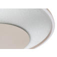 LED-DECKENLEUCHTE 50/5 cm  - Champagner/Silberfarben, Design, Kunststoff/Metall (50/5cm) - Novel