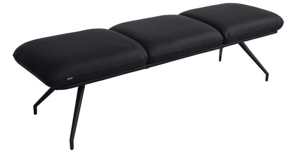 SITZBANK 200/49,5/50 cm Echtleder Schwarz  - Schwarz, Design, Leder/Metall (200/49,5/50cm) - Dieter Knoll