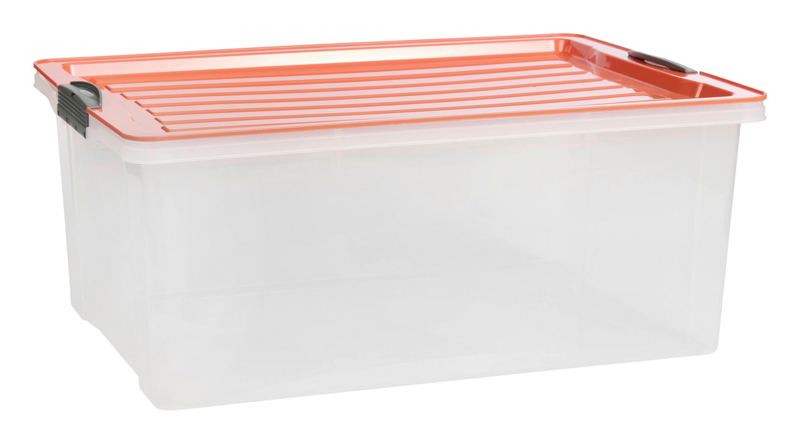 AUFBEWAHRUNGSBOX     - Koralle, KONVENTIONELL, Kunststoff (40/25/57cm) - Rotho