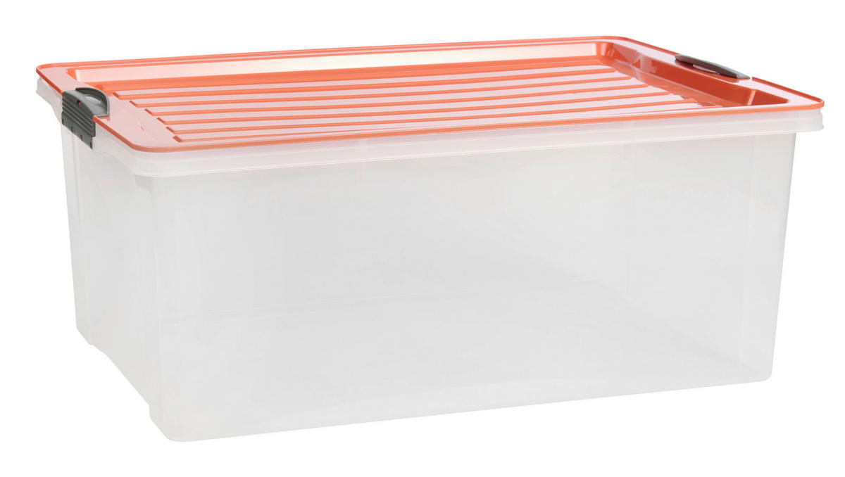 AUFBEWAHRUNGSBOX     - Koralle, KONVENTIONELL, Kunststoff (40/25/57cm) - Rotho