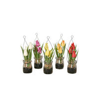 TULPE - Multicolor/Grün, LIFESTYLE, Kunststoff/Textil (18cm)