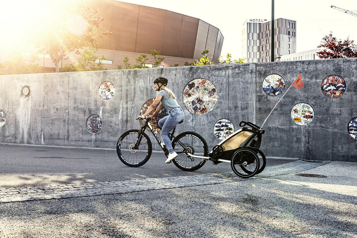 FAHRRADANHÄNGER   Charoit Lite 1  - Grün, LIFESTYLE, Metall (64,5/89-112/85,5cm) - Thule