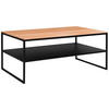 COUCHTISCH 100/60/41 cm rechteckig Schwarz, Buchefarben  - Buchefarben/Schwarz, Design, Holz/Metall (100/60/41cm) - Johann Jakob